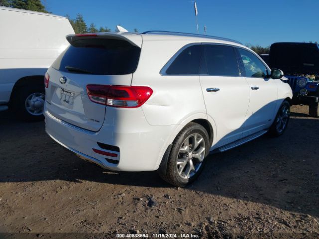 Photo 3 VIN: 5XYPKDA5XHG204594 - KIA SORENTO 