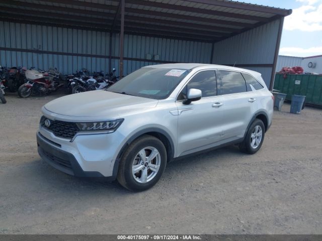 Photo 1 VIN: 5XYRG4LCXMG019705 - KIA SORENTO 