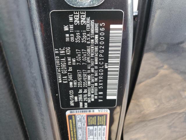 Photo 13 VIN: 5XYRGDLC1PG200065 - KIA SORENTO LX 