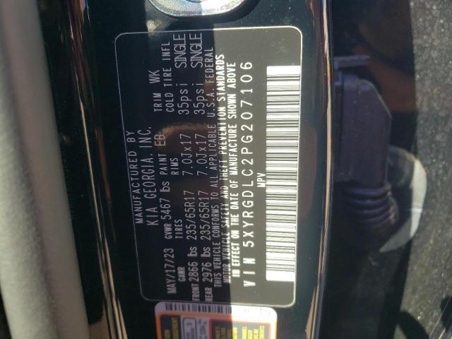 Photo 13 VIN: 5XYRGDLC2PG207106 - KIA SORENTO 