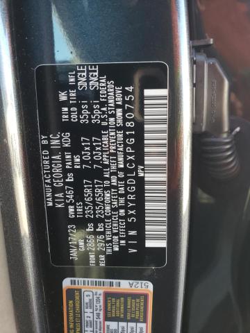 Photo 12 VIN: 5XYRGDLCXPG180754 - KIA SORENTO 