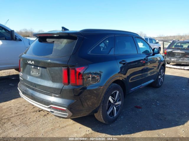 Photo 3 VIN: 5XYRH4LF3PG203430 - KIA SORENTO 