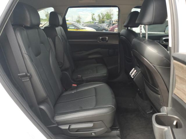 Photo 10 VIN: 5XYRH4LF6MG072294 - KIA SORENTO EX 