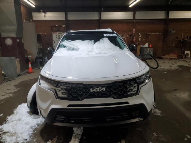 Photo 4 VIN: 5XYRHDLF4PG202061 - KIA SORENTO 