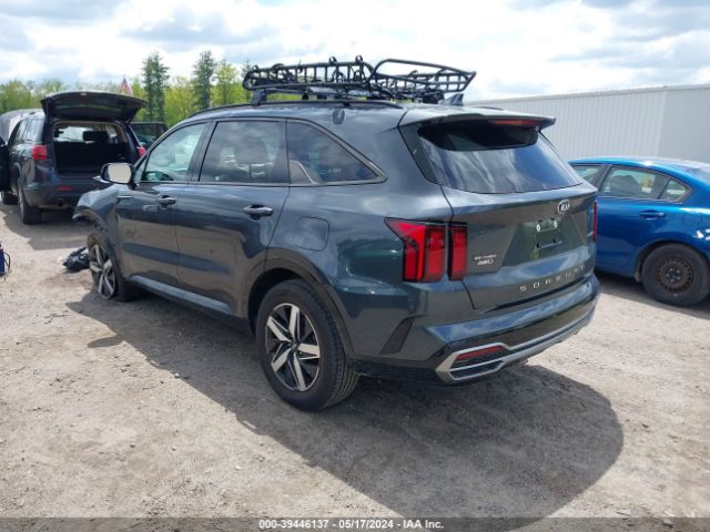 Photo 2 VIN: 5XYRHDLF7MG063619 - KIA SORENTO 