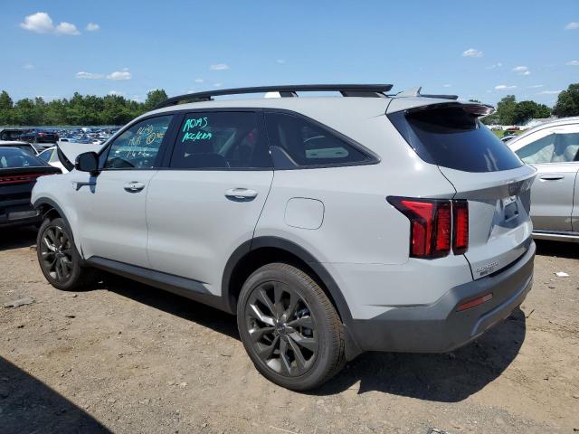 Photo 1 VIN: 5XYRHDLFXPG250499 - KIA SORENTO EX 