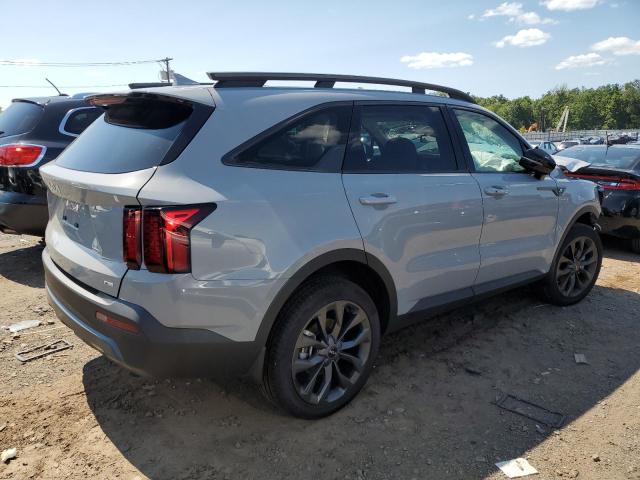 Photo 2 VIN: 5XYRHDLFXPG250499 - KIA SORENTO EX 