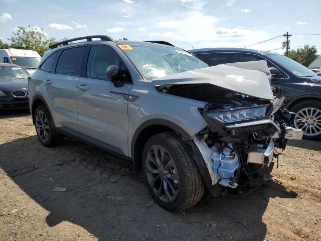 Photo 3 VIN: 5XYRHDLFXPG250499 - KIA SORENTO EX 