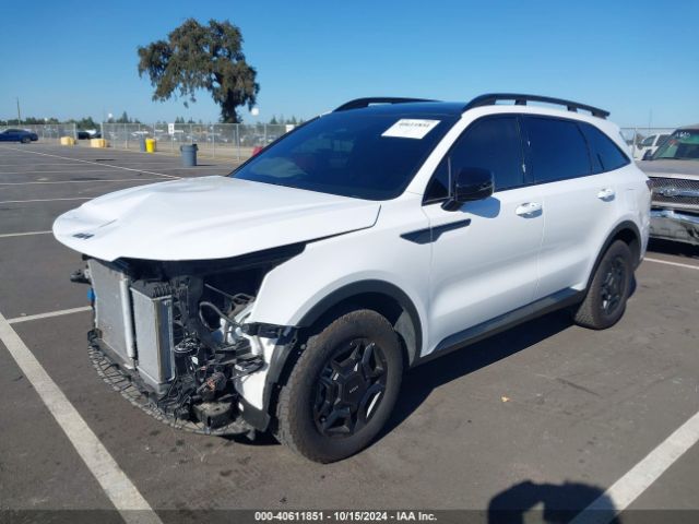 Photo 1 VIN: 5XYRKDJF2RG264274 - KIA SORENTO 