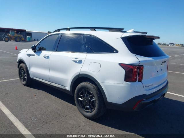 Photo 2 VIN: 5XYRKDJF2RG264274 - KIA SORENTO 