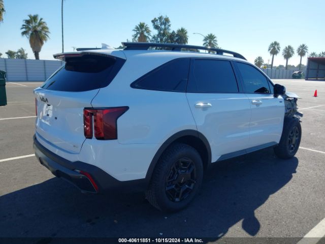 Photo 3 VIN: 5XYRKDJF2RG264274 - KIA SORENTO 