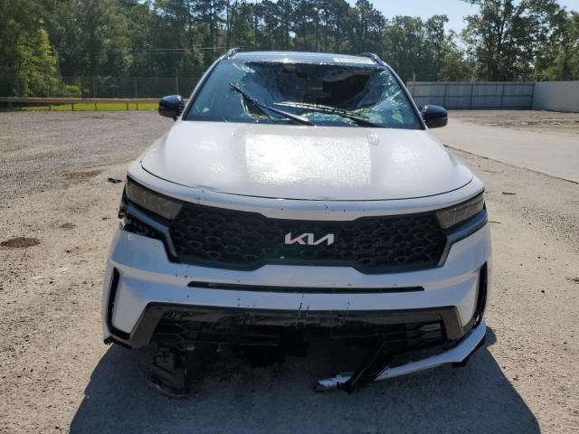 Photo 4 VIN: 5XYRKDLF1PG201659 - KIA SORENTO SX 