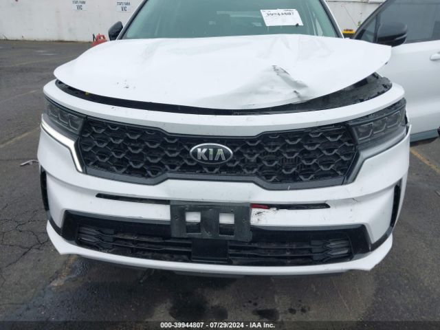 Photo 5 VIN: 5XYRKDLF3MG052764 - KIA SORENTO 