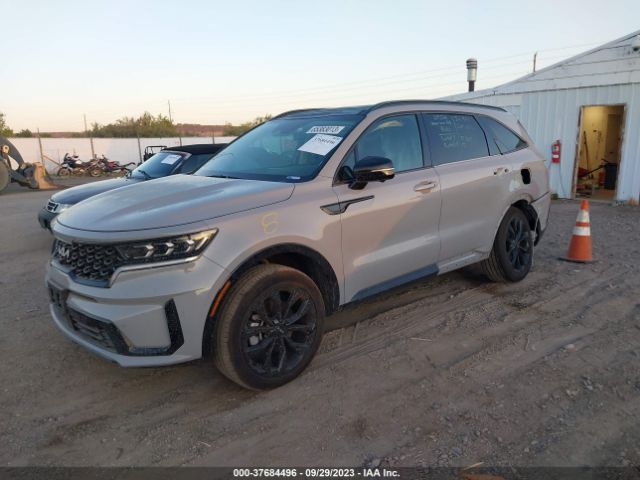 Photo 1 VIN: 5XYRKDLF3PG202229 - KIA SORENTO 