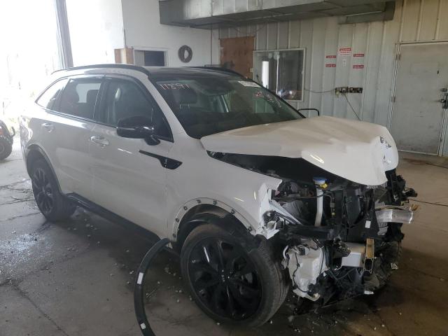 Photo 3 VIN: 5XYRKDLF6MG044917 - KIA SORENTO SX 