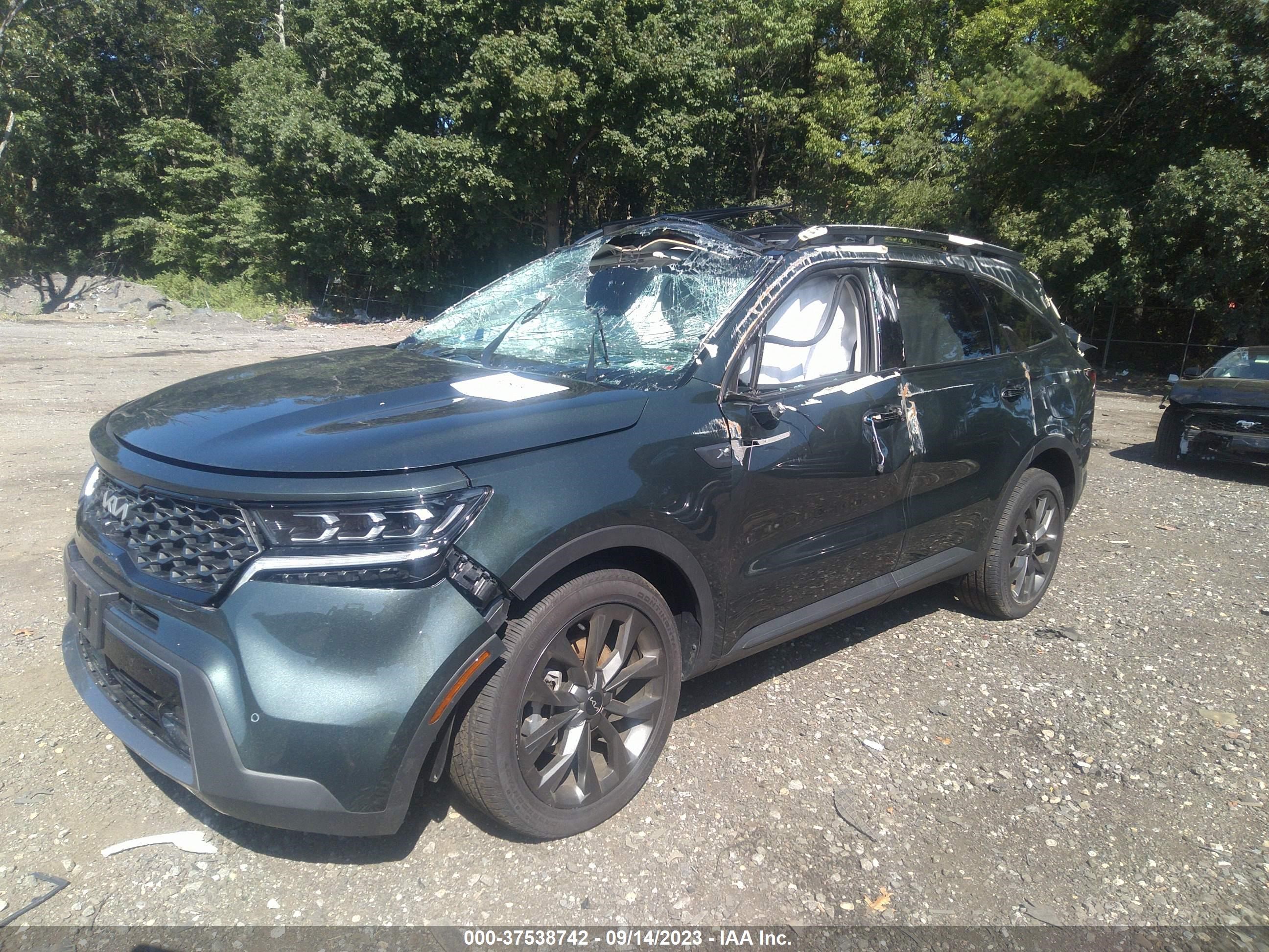 Photo 1 VIN: 5XYRKDLFXPG170766 - KIA SORENTO 