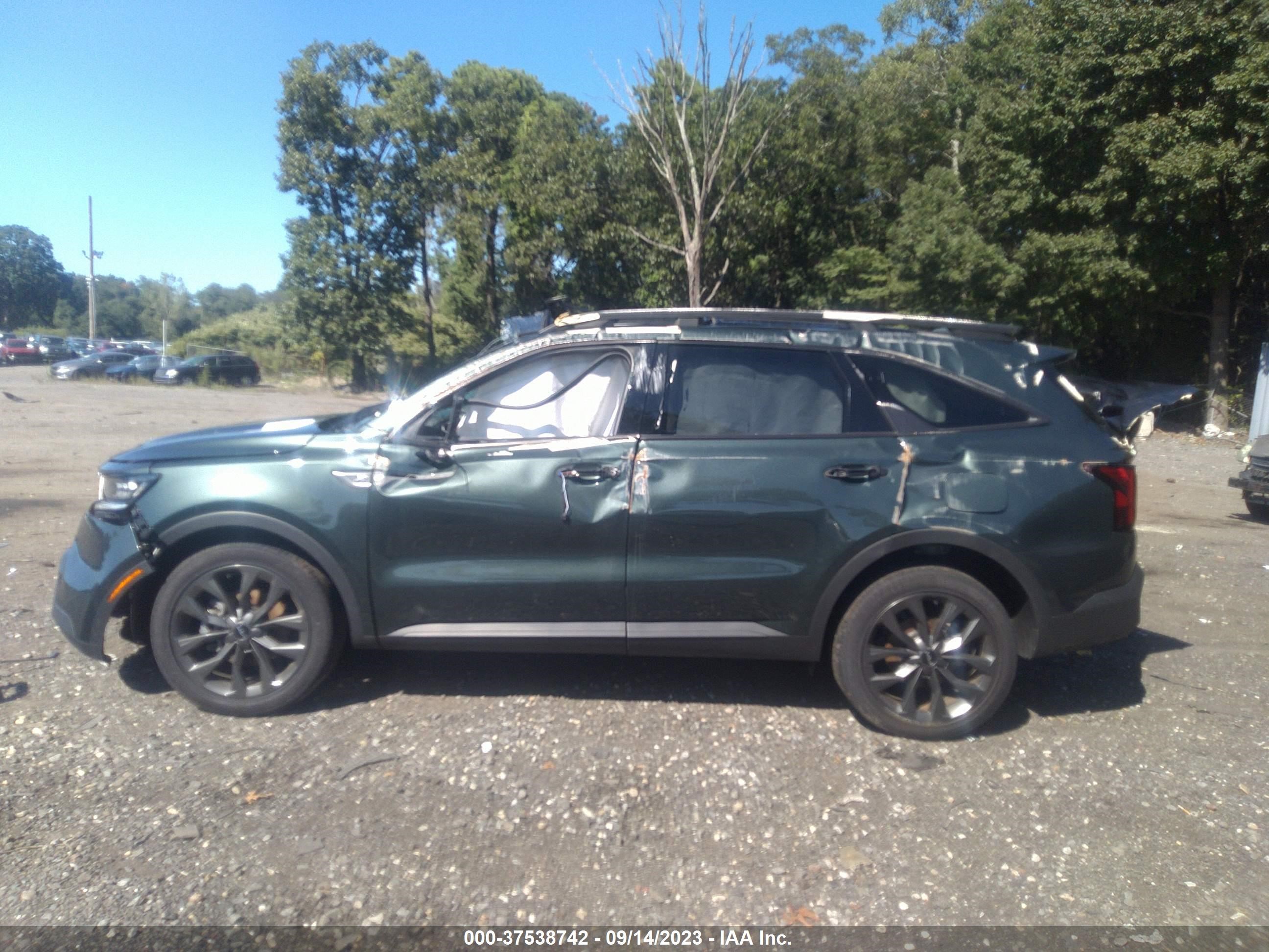 Photo 13 VIN: 5XYRKDLFXPG170766 - KIA SORENTO 