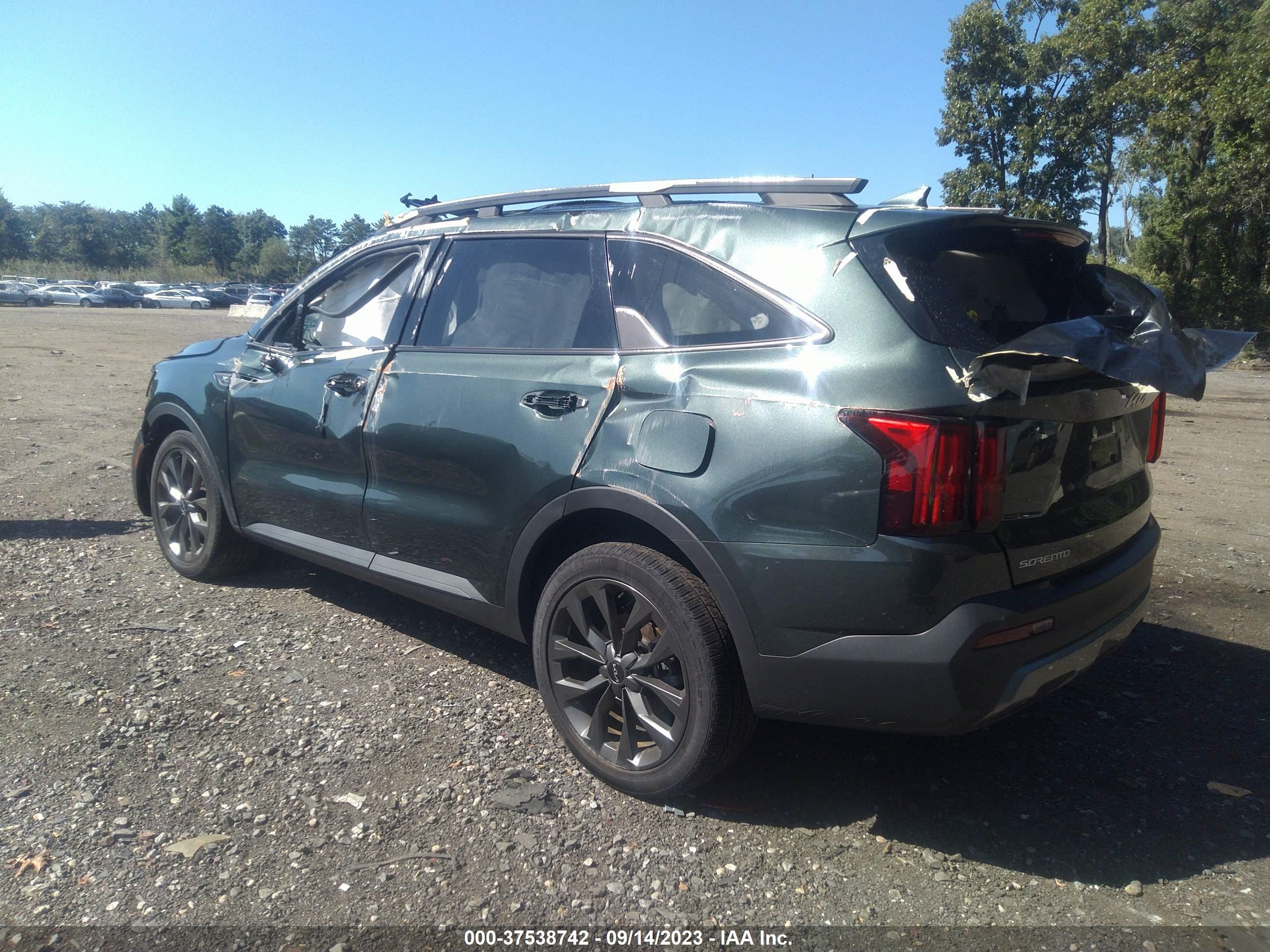 Photo 2 VIN: 5XYRKDLFXPG170766 - KIA SORENTO 