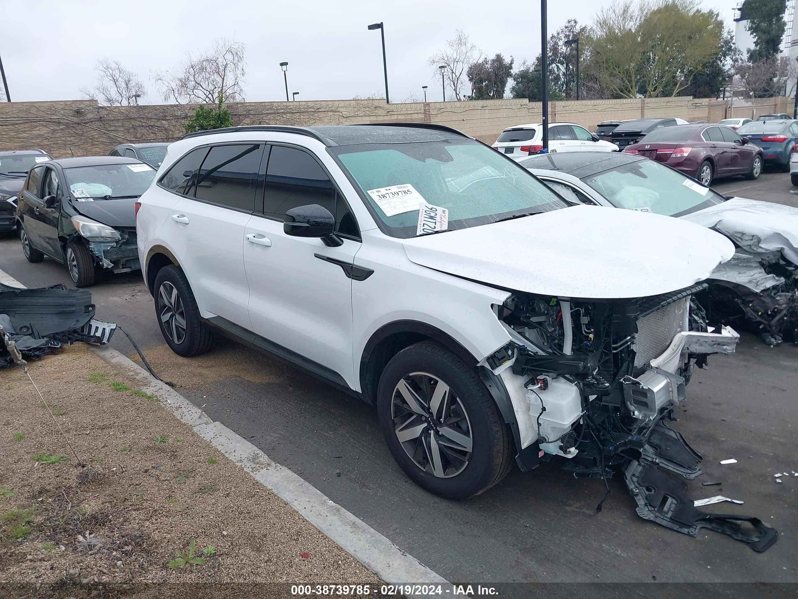 Photo 13 VIN: 5XYRL4LC1PG200353 - KIA SORENTO 