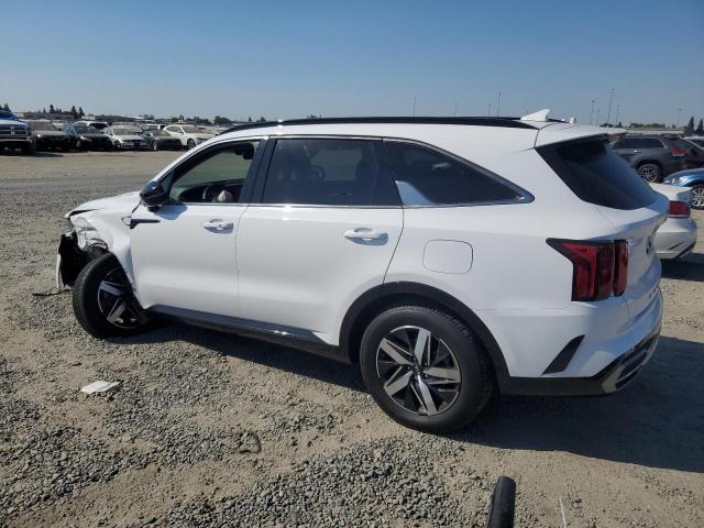 Photo 1 VIN: 5XYRL4LC3MG020920 - KIA SORENTO S 