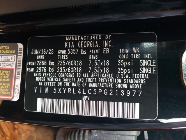 Photo 12 VIN: 5XYRL4LC5PG213977 - KIA SORENTO S 