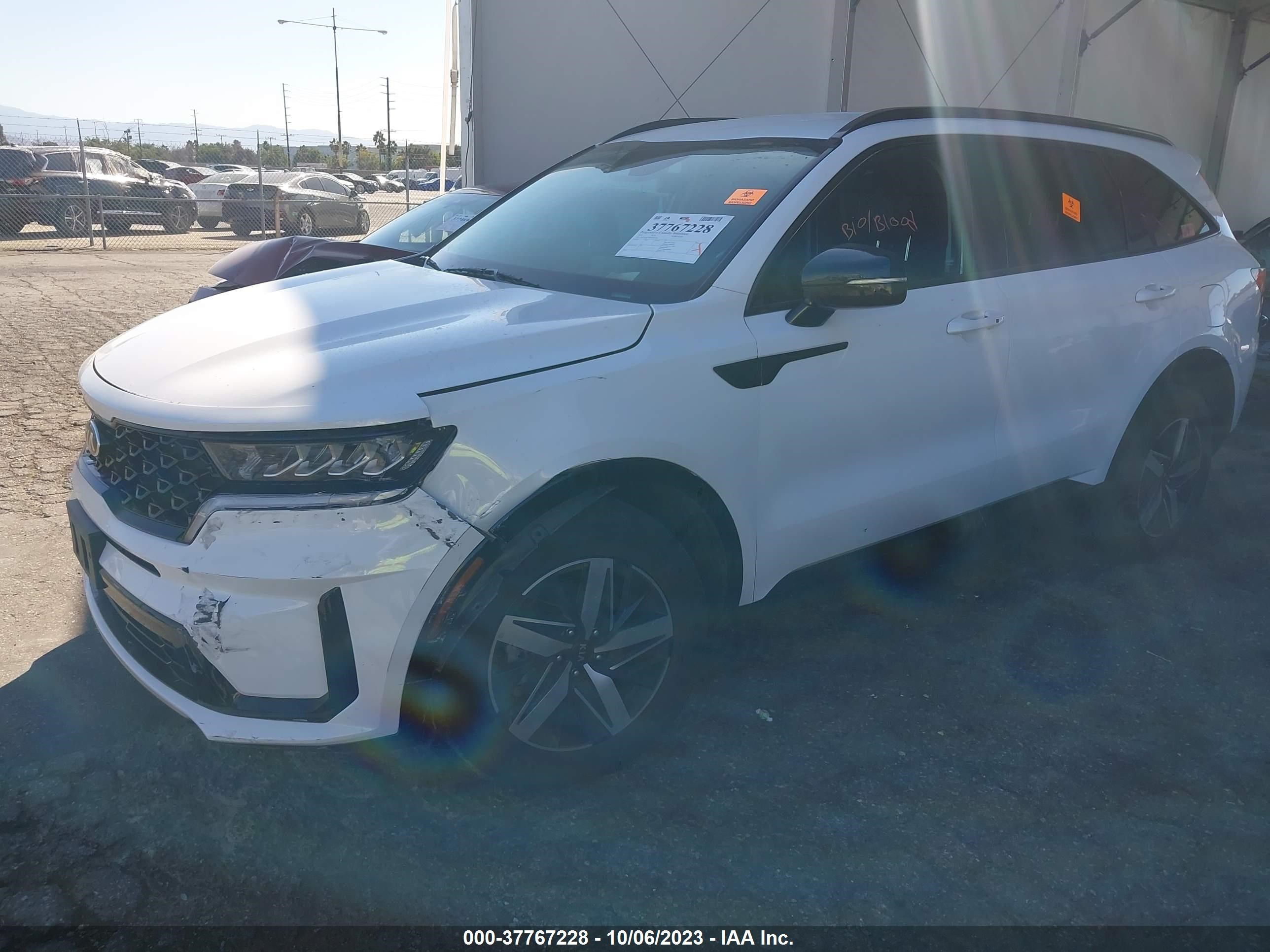 Photo 1 VIN: 5XYRL4LC6MG065558 - KIA SORENTO 