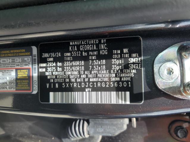 Photo 12 VIN: 5XYRLDJC1RG256301 - KIA SORENTO 