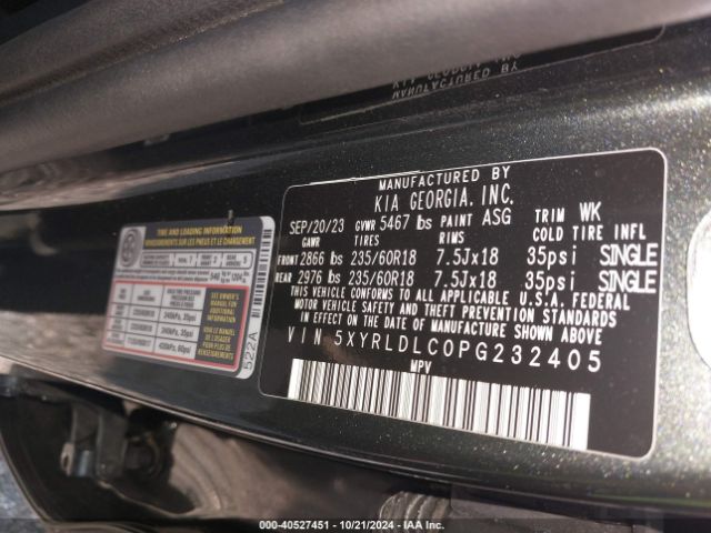 Photo 8 VIN: 5XYRLDLC0PG232405 - KIA SORENTO 