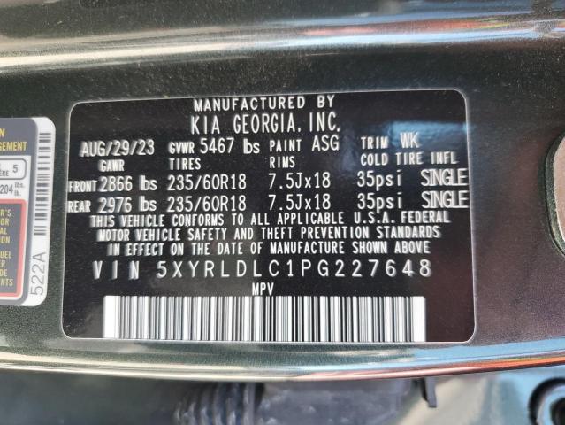 Photo 13 VIN: 5XYRLDLC1PG227648 - KIA SORENTO S 