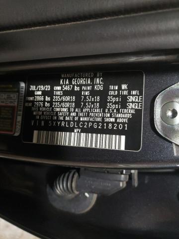 Photo 13 VIN: 5XYRLDLC2PG218201 - KIA SORENTO S 