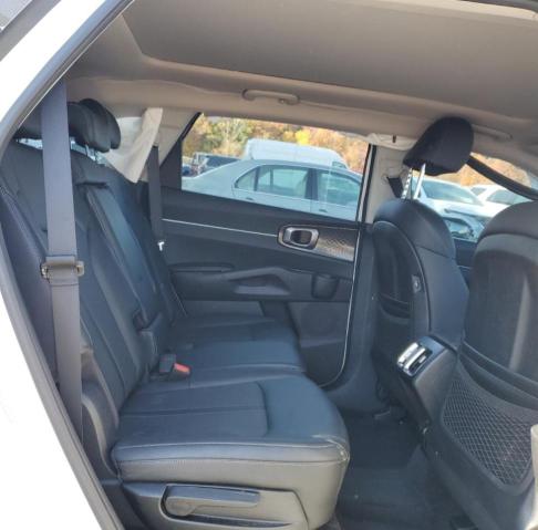 Photo 10 VIN: 5XYRLDLC3MG029925 - KIA SORENTO S 