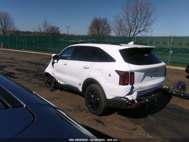 Photo 2 VIN: 5XYRLDLC3PG220183 - KIA SORENTO 