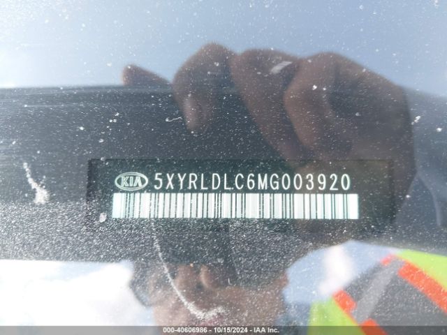 Photo 8 VIN: 5XYRLDLC6MG003920 - KIA SORENTO 