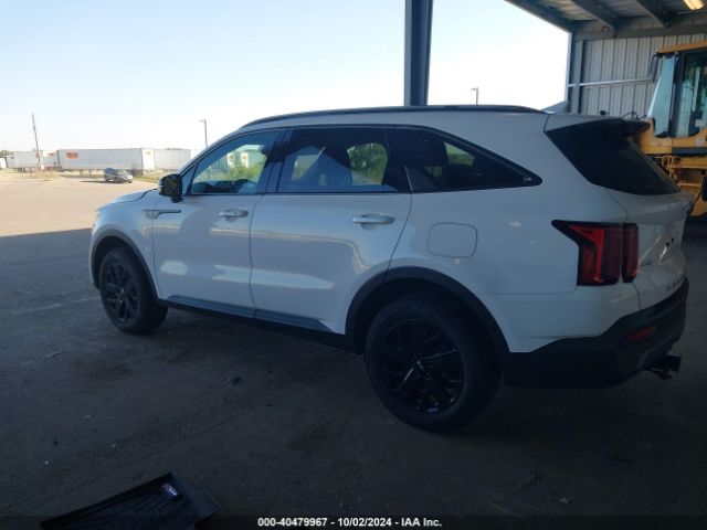 Photo 2 VIN: 5XYRLDLC8MG052164 - KIA SORENTO 