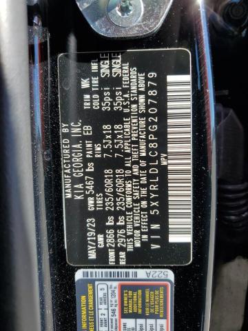 Photo 11 VIN: 5XYRLDLC8PG207879 - KIA SORENTO 