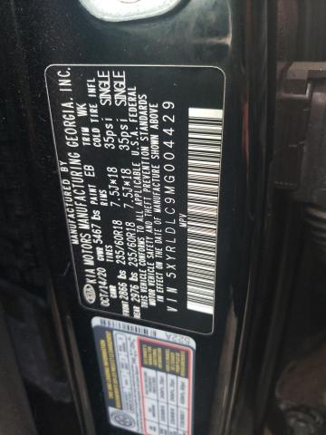 Photo 13 VIN: 5XYRLDLC9MG004429 - KIA SORENTO S 