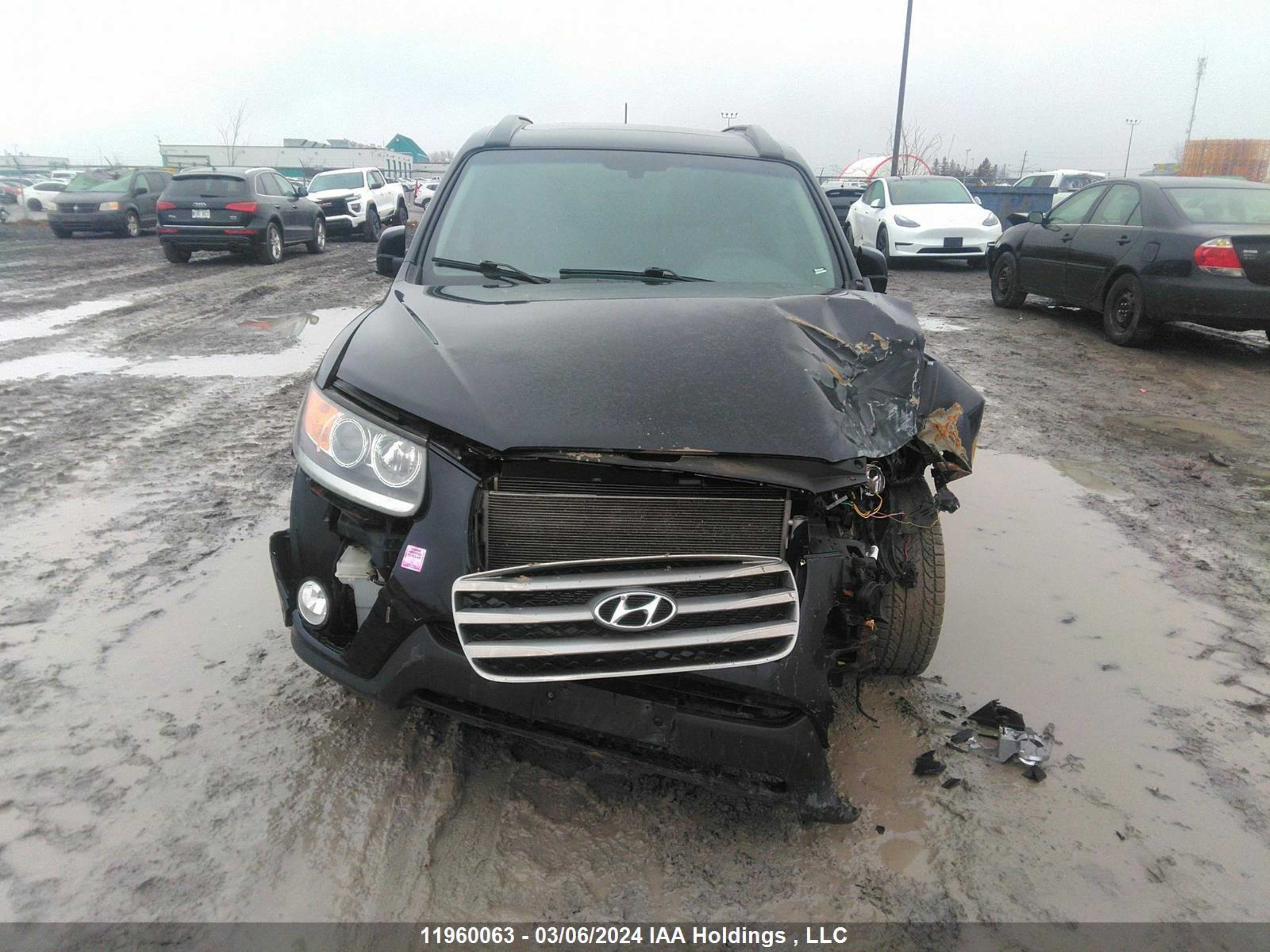 Photo 12 VIN: 5XYZGDAB3CG149866 - HYUNDAI SANTA FE 