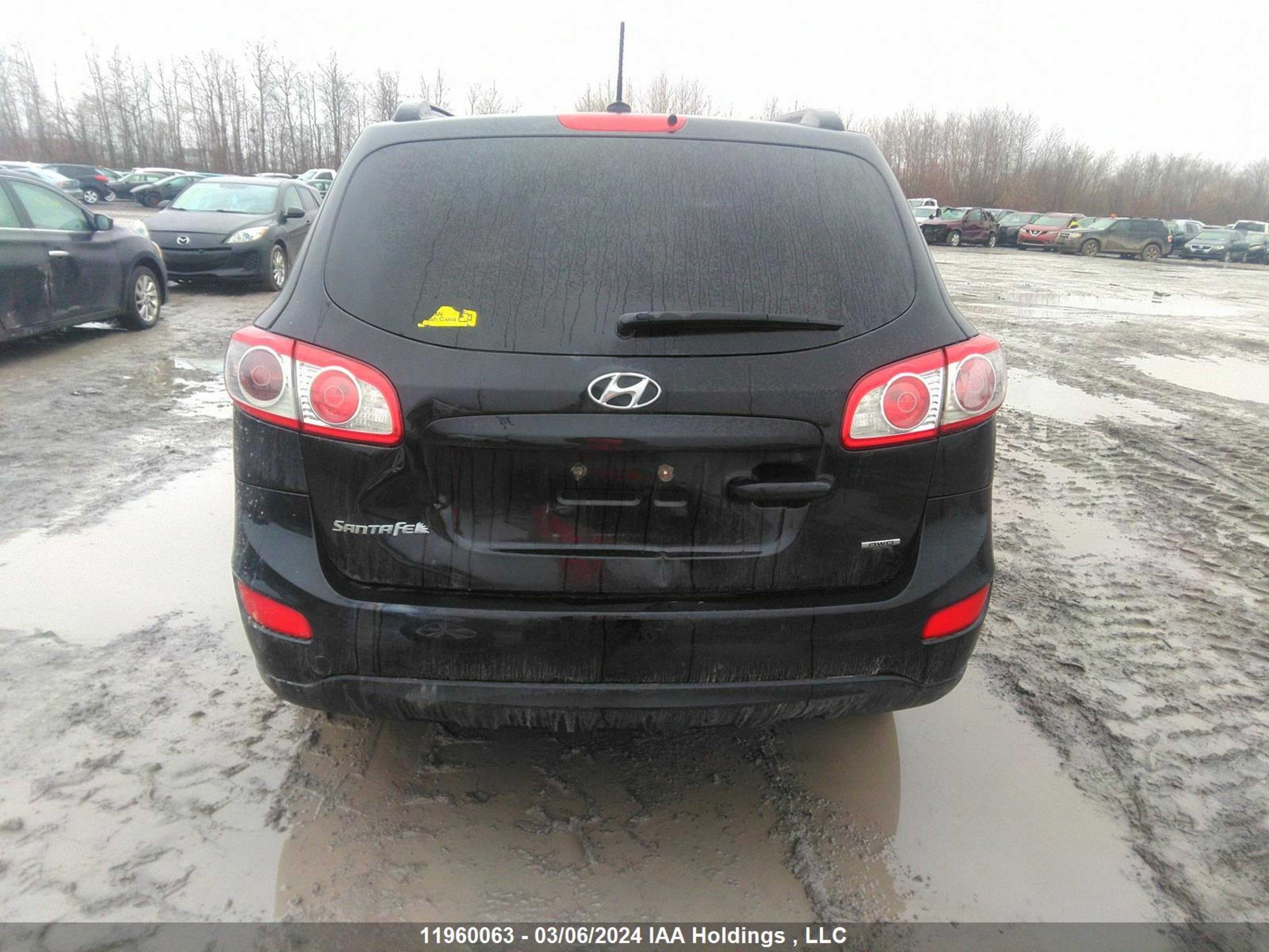 Photo 16 VIN: 5XYZGDAB3CG149866 - HYUNDAI SANTA FE 