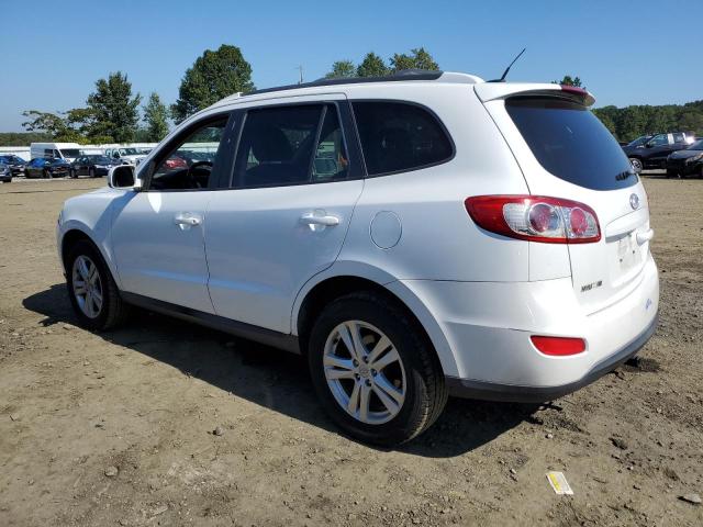 Photo 1 VIN: 5XYZHDAG0BG031796 - HYUNDAI SANTA FE S 