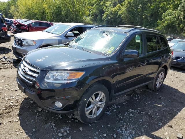 Photo 0 VIN: 5XYZHDAG6CG136442 - HYUNDAI SANTA FE 