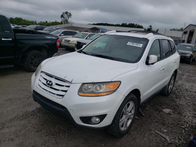 Photo 1 VIN: 5XYZK3AB4BG036113 - HYUNDAI SANTA FE L 