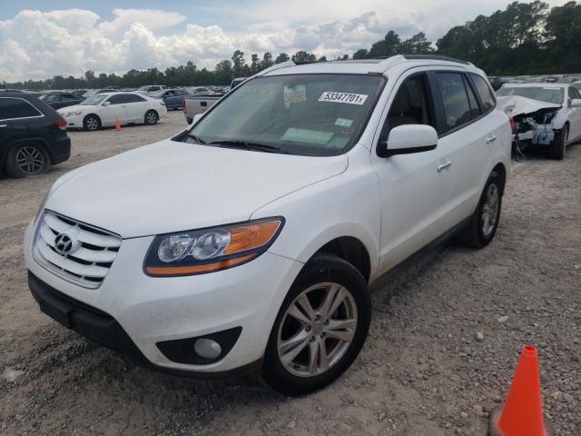 Photo 1 VIN: 5XYZK4AG1BG010697 - HYUNDAI SANTA FE L 