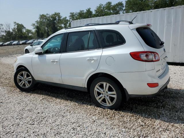 Photo 1 VIN: 5XYZK4AG5BG048126 - HYUNDAI SANTA FE L 