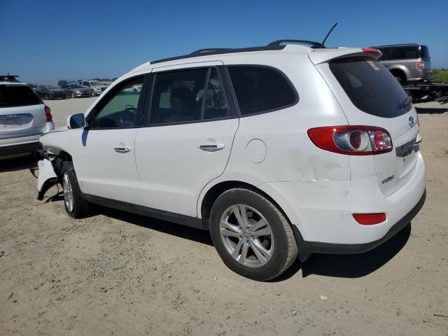 Photo 1 VIN: 5XYZK4AG9BG091268 - HYUNDAI SANTA FE L 