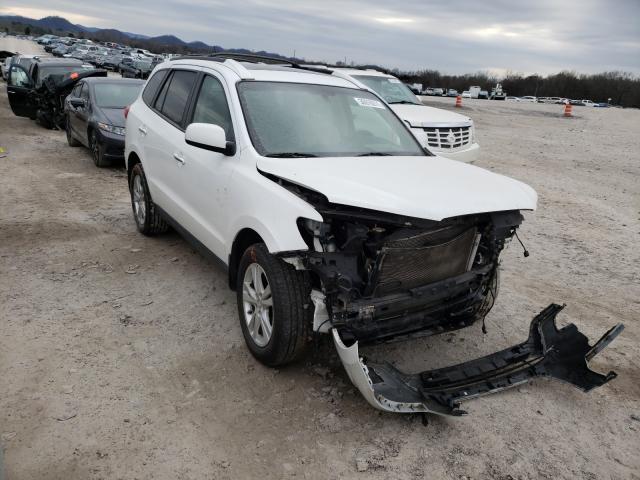 Photo 0 VIN: 5XYZK4AG9CG128255 - HYUNDAI SANTA FE L 