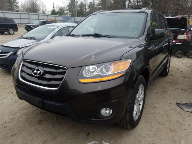 Photo 1 VIN: 5XYZKDAGXBG065861 - HYUNDAI SANTA FE L 