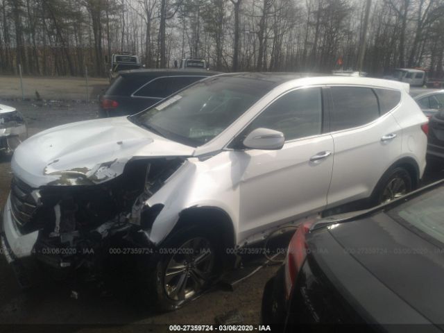 Photo 1 VIN: 5XYZU3LB9EG126269 - HYUNDAI SANTA FE SPORT 