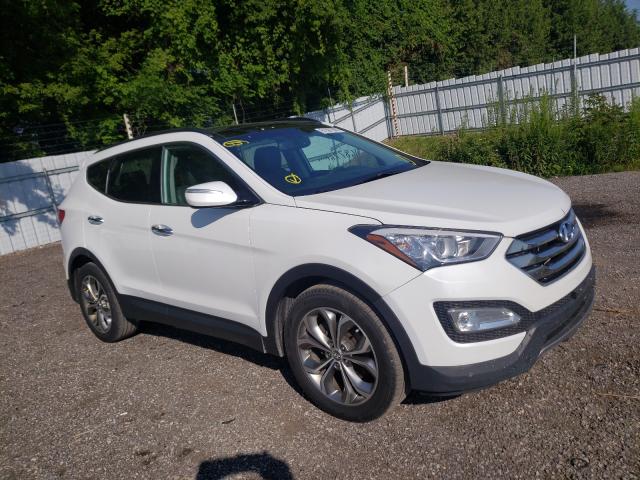 Photo 0 VIN: 5XYZUDLA1EG205268 - HYUNDAI SANTA FE S 