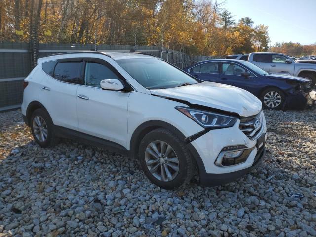 Photo 3 VIN: 5XYZUDLA3HG397569 - HYUNDAI SANTA FE S 