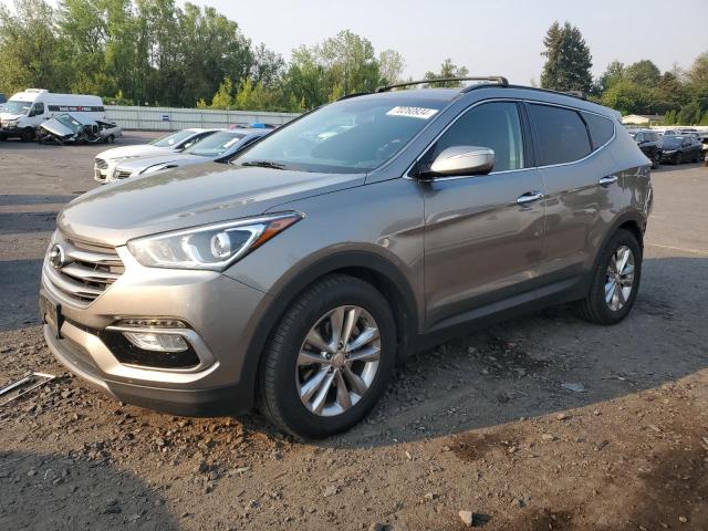 Photo 0 VIN: 5XYZUDLA3HG486851 - HYUNDAI SANTA FE S 